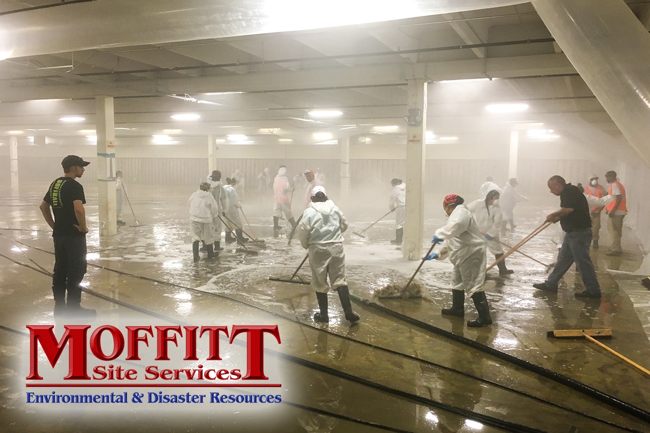 Water Extraction Services Moffitt Services